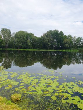Yoğun yeşil bir ormanla çevrili sessiz bir nehir ya da göl. Aynaya benzeyen su, ağaçları ve gökyüzünü yansıtır. Doğayla bir barış ve birlik ortamı yaratır. Bulutlu açık yaz gökyüzü