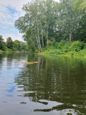 Yoğun yeşil bir ormanla çevrili sessiz bir nehir ya da göl. Aynaya benzeyen su, ağaçları ve gökyüzünü yansıtır. Doğayla bir barış ve birlik ortamı yaratır. Bulutlu açık yaz gökyüzü
