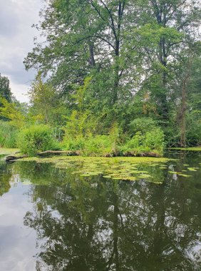 Yoğun yeşil bir ormanla çevrili sessiz bir nehir ya da göl. Aynaya benzeyen su, ağaçları ve gökyüzünü yansıtır. Doğayla bir barış ve birlik ortamı yaratır. Bulutlu açık yaz gökyüzü
