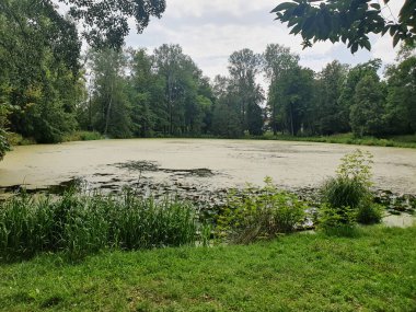 Yoğun yeşil bir ormanla çevrili sessiz bir nehir ya da göl. Aynaya benzeyen su, ağaçları ve gökyüzünü yansıtır. Doğayla bir barış ve birlik ortamı yaratır. Bulutlu açık yaz gökyüzü