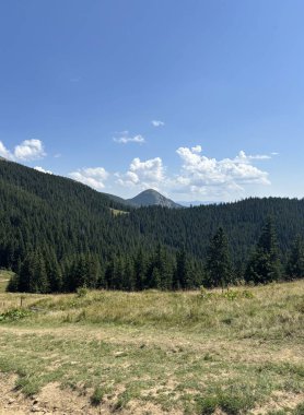 Açık bir yaz gününde yeşil Karpat Dağları 'nın görkemli panoramik manzarası. Çam ve kayın ormanlarıyla kaplı uçsuz bucaksız tepeler, tüylü kümülüs bulutlarıyla berrak mavi bir gökyüzünün altında yükselir.