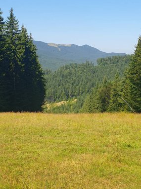 Uçsuz bucaksız bir dağ çayırı. Parlak yeşil çimenler ve çiçeklerle kaplı bir vadi. Yumuşak yamaçlar, dağılmış kayalar ve uzak orman alanları. Vadide küçük patikalar görebilirsiniz.
