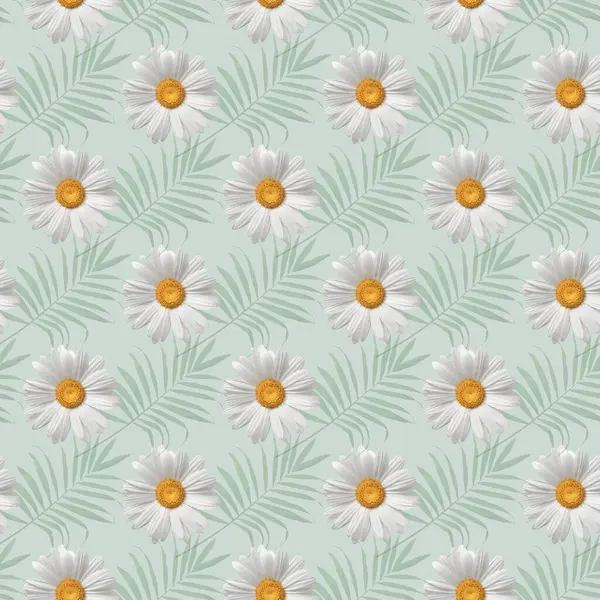 Beyaz papatya çiçeği Kusursuz Desen Tasarımı