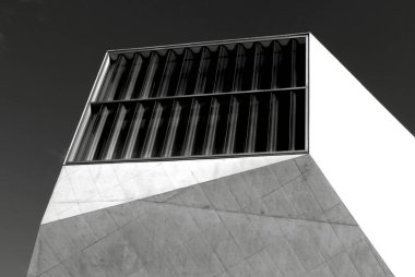 Bu tarihi binanın ön cephesinde siyah beyaz çekilen bu fotoğraf bazı karakterleri, hayvanları ya da çiçekleri temsil ediyor. Porto, Portekiz, Avrupa 'da geçiyor