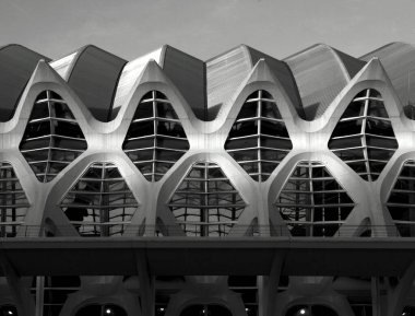 Bu tarihi binanın ön cephesinde siyah beyaz çekilen bu fotoğraf bazı karakterleri, hayvanları ya da çiçekleri temsil ediyor. Valencia, İspanya ve Avrupa 'da geçiyor.