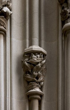 Bu tarihi binanın dış cephesinde bazı karakterleri, hayvanları ya da çiçekleri temsil eden renk detaylarıyla çekildi. Eixample, Barcelona, Catalunya, İspanya, Avrupa 'da geçiyor