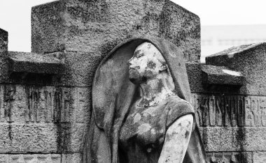 Bu tarihi binanın ön cephesinde siyah beyaz çekilen bu fotoğraf bazı karakterleri, hayvanları ya da çiçekleri temsil ediyor. Lloret de Mar, Girona, Katalunya, İspanya, Avrupa 'da geçiyor