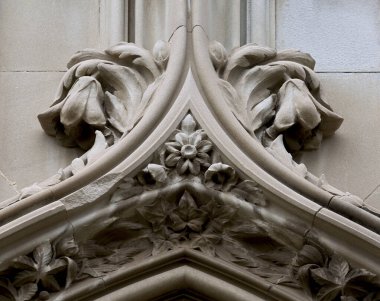 Bu tarihi binanın dış cephesinde bazı karakterleri, hayvanları ya da çiçekleri temsil eden renk detaylarıyla çekildi. Eixample, Barcelona, Catalunya, İspanya, Avrupa 'da geçiyor