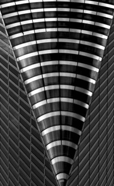 Bu tarihi binanın ön cephesinde siyah beyaz çekilen bu fotoğraf bazı karakterleri, hayvanları ya da çiçekleri temsil ediyor. Paris, Fransa, Avrupa 'da geçiyor