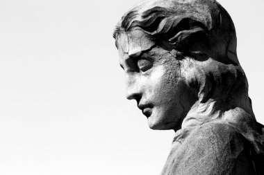 Bu tarihi binanın ön cephesinde siyah beyaz çekilen bu fotoğraf bazı karakterleri, hayvanları ya da çiçekleri temsil ediyor. Matar, Barcelona, Katalunya, İspanya ve Avrupa 'da geçiyor.