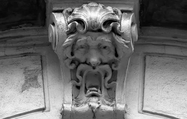 Bu tarihi binanın ön cephesinde siyah beyaz çekilen bu fotoğraf bazı karakterleri, hayvanları ya da çiçekleri temsil ediyor. Prag, Çek Repbliç, Avrupa 'da geçiyor