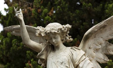 Bu tarihi binanın dış cephesinde bazı karakterleri, hayvanları ya da çiçekleri temsil eden renk detaylarıyla çekildi. Eixample, Barcelona, Catalunya, İspanya, Avrupa 'da geçiyor