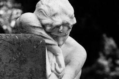 Bu tarihi binanın ön cephesinde siyah beyaz çekilen bu fotoğraf bazı karakterleri, hayvanları ya da çiçekleri temsil ediyor. Burgos, Castilla y Leon, İspanya, Avrupa 'da geçiyor.