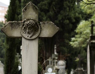 Bu tarihi binanın dış cephesinde bazı karakterleri, hayvanları ya da çiçekleri temsil eden renk detaylarıyla çekildi. Vitoria, Euskadi, İspanya, Avrupa 'da geçiyor