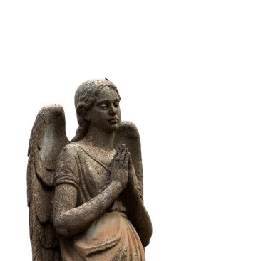 Bu tarihi binanın dış cephesinde bazı karakterleri, hayvanları ya da çiçekleri temsil eden renk detaylarıyla çekildi. Zaragoza, Aragn, İspanya, Avrupa 'da geçiyor