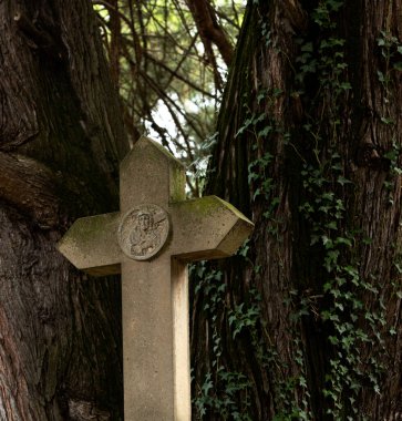 Bu tarihi binanın dış cephesinde bazı karakterleri, hayvanları ya da çiçekleri temsil eden renk detaylarıyla çekildi. Vitoria, Euskadi, İspanya, Avrupa 'da geçiyor