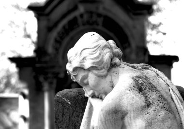 Bu tarihi binanın ön cephesinde siyah beyaz çekilen bu fotoğraf bazı karakterleri, hayvanları ya da çiçekleri temsil ediyor. Burgos, Castilla y Leon, İspanya, Avrupa 'da geçiyor.