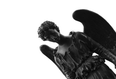 Bu tarihi binanın ön cephesinde siyah beyaz çekilen bu fotoğraf bazı karakterleri, hayvanları ya da çiçekleri temsil ediyor. Pamplona, Navarra, İspanya, Avrupa 'da geçiyor