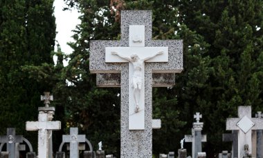 Bu tarihi binanın dış cephesinde bazı karakterleri, hayvanları ya da çiçekleri temsil eden renk detaylarıyla çekildi. Logroo, La Rioja, İspanya, Avrupa 'da geçiyor.