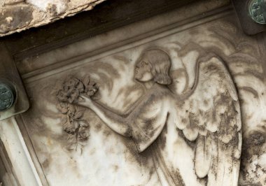 Bu tarihi binanın dış cephesinde bazı karakterleri, hayvanları ya da çiçekleri temsil eden renk detaylarıyla çekildi. Eixample, Barcelona, Catalunya, İspanya, Avrupa 'da geçiyor