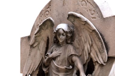 Bu tarihi binanın dış cephesinde bazı karakterleri, hayvanları ya da çiçekleri temsil eden renk detaylarıyla çekildi. Eixample, Barcelona, Catalunya, İspanya, Avrupa 'da geçiyor