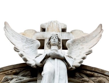 Bu tarihi binanın dış cephesinde bazı karakterleri, hayvanları ya da çiçekleri temsil eden renk detaylarıyla çekildi. Eixample, Barcelona, Catalunya, İspanya, Avrupa 'da geçiyor