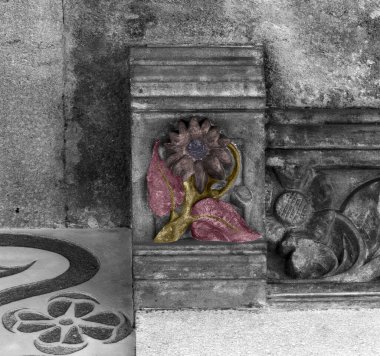 Siyah ve beyaz olarak çekilen ve renklerle boyanmış, bazı karakter, hayvan, çiçek veya başka bir elementi temsil eden bazı kentsel detaylar üzerine bir görüş yeni bir yorum yaratmak için dijital olarak dönüştürülmüş. Tokyo, Japonya, Asya 'da geçiyor.