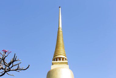 Bu tarihi binanın dış cephesinde bazı karakterleri, hayvanları ya da çiçekleri temsil eden renk detaylarıyla çekildi. Bangkok, Tayland, Asya 'da geçiyor.