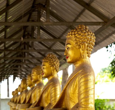 Bu tarihi binanın dış cephesinde bazı karakterleri, hayvanları ya da çiçekleri temsil eden renk detaylarıyla çekildi. Siem Riep, Angkor Wat, Kamboçya, Asya 'da geçiyor.