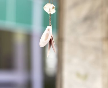 Bu tarihi binanın dış cephesinde bazı karakterleri, hayvanları ya da çiçekleri temsil eden renk detaylarıyla çekildi. Bangkok, Tayland, Asya 'da geçiyor.