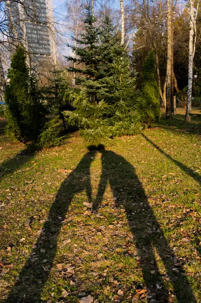 Huzurlu bir sahne, ağaçlarla çevrili yaprak kaplı bir çimenlikteki iki kişinin uzun gölgelerini yakalar ve kentsel yakınlığı gösteren uzak bir bina oluşturur..