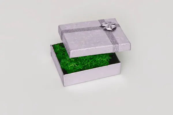 Resim, dekoratif fiyonkla süslenmiş gümüş bir hediye kutusu gösteriyor. İçerde, parlak yeşil yosun parlak metalik dış ile zıt düşer, zarafetin ahenkli bir karışımını yaratır.