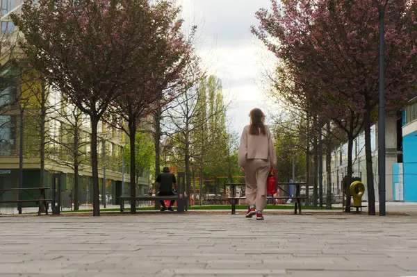 Pembe ağaçlarla çevrili sakin bir şehir parkında, asfalt bir yolda yürüyen bir insan.. 