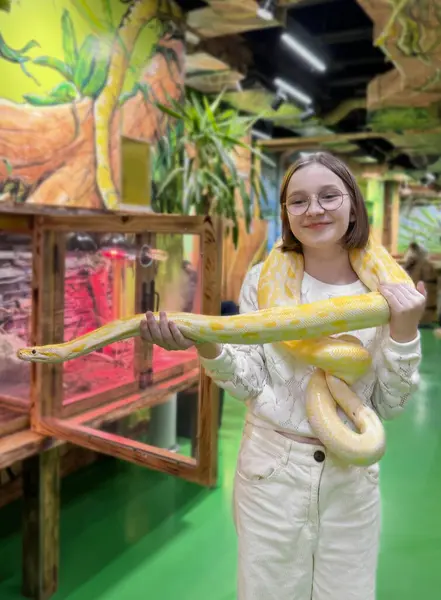 stock image A person stands in a vibrant reptile exhibit, holding a large yellow and white snake which drapes over their shoulders and extends outward. 
