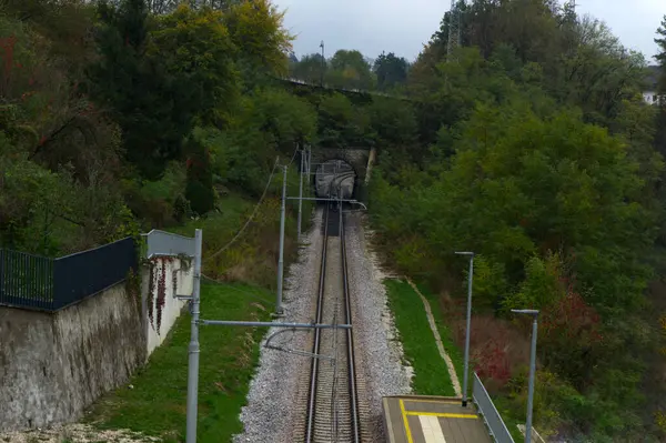 Görüntü, yemyeşil ve ağaçlarla çevrili bir tünele giden bir tren yolunu gösteriyor.. 