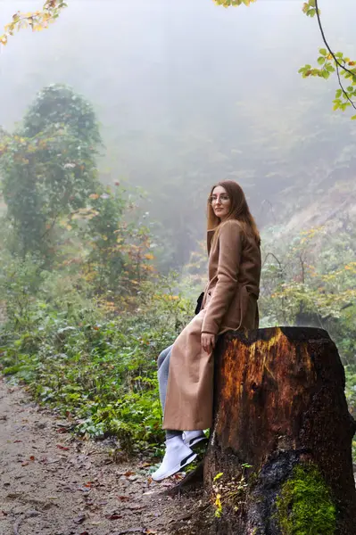 Sisli Ormanda Huzurlu Bir An