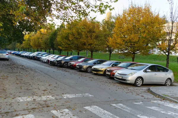 Görüntü, sonbaharda ağaçlık bir cadde boyunca park halindeki arabaları gösteriyor. Ağaçlar sonbahar mevsimini gösteren sarı ve turuncu yapraklara sahiptir. Sahne sakin ve düzenli, çeşitli araba modelleri ve renkleriyle.