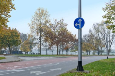 Mavi trafik işaretli bir yol araçların düz gidebileceğini ya da sola dönebileceğini gösterir. Sahne, sonbahar ağaçları ve yapraklarla parka benzer bir alanda geçiyor. Yol işaretleri trafik yönüne rehberlik eder.