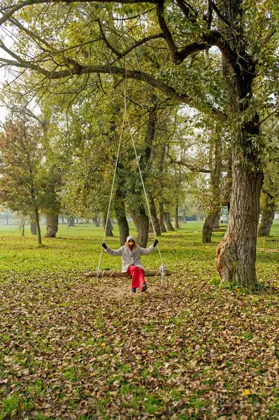 Parktaki ağaçtan salıncakta asılı duran bir kız var. Toprak dökülen yapraklarla kaplı ve çevreleyen ağaçların sonbahar yaprakları var..