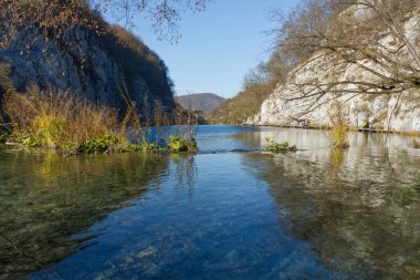 Bereketli ormanların ve kayalık kayalıkların arasında yuva yapmış olan Plitvice Gölü, kristal berrak sularıyla göz kamaştırıcı sonbahar manzarasını yansıtıyor.