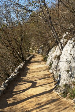 Kayalık duvarlar ve seyrek ağaçlarla çevrili Plitvice Parkı boyunca uzanan kirli bir patika zemine karmaşık gölgeler bırakarak doğal güzelliği ve sakin yabanı somutlaştırıyor..