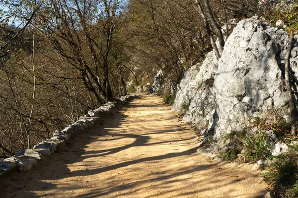 Plitvice Parkı 'nda kayalık duvarlar ve ağaçlarla çevrili sakin toprak yol, berrak bir gökyüzünün altında sakin ve pitoresk bir yürüyüş yolu yaratır..