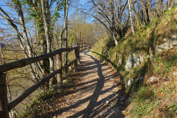 Plitvice Park 'ın manzaralı patikalarının, yemyeşil otlakların ve sakin çevrenin güzelliğini tecrübe edin. Yürüyüş ve doğa aşıkları için mükemmel. Nefes kesici manzaraların arasında sakin bir kaçış ararlar..