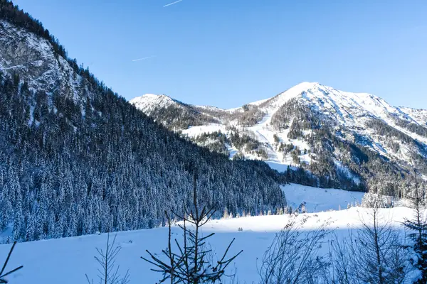 Görüntü, kar kaplı dağlar ve açık mavi gökyüzünün altındaki yoğun ormanlarla sakin bir kış manzarasını betimliyor. Sahne sakin ve resim gibi, kışın doğanın güzelliğini gösteriyor..