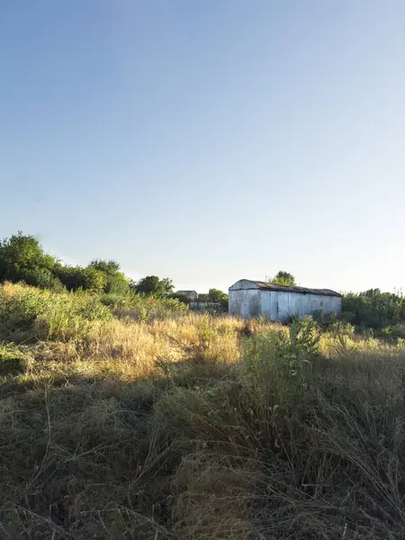 Aşırı büyümüş çimenler ve çalılarla çevrili yıpranmış beyaz bir ahırı olan sakin bir kırsal bölge. Parlak mavi gökyüzü ve güneş ışığı bu ıssız kırsal bölgenin huzurlu ve kırsal cazibesini arttırır..