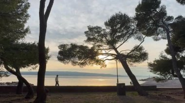 Park Palih za Slobodu 'da sakin bir günbatımı. Rıhtım boyunca yürüyen bir adam, siluetli ağaçlar tarafından renkli bir gökyüzüne karşı çerçevelenmiş..