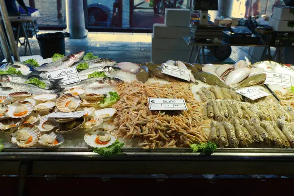 Canlı bir Venedik balık pazarı taze deniz ürünleri sergiliyor: balık, deniz tarağı, karides ve daha fazlası, fiyatlandırılmış ve buzda sunuluyor..