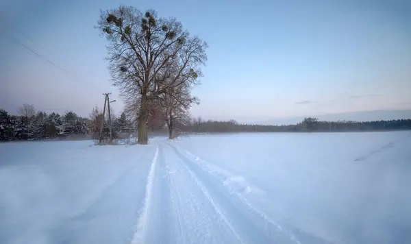 A forest clearing under the snow just after sunset, evening fog and a road running through the snow.The road leading through the village of Czarna Glina (black clay), fields and meadows among the forests  with in the falling dusk .