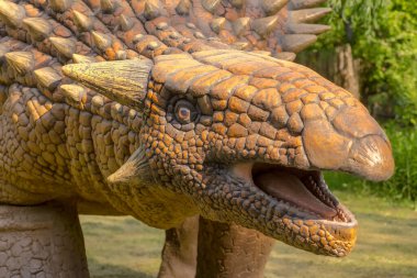 Polonya Baltow 30 Mayıs 2023, saat 16: 06. Zırhlı bir Ankylosaurus 'un başı - (Ankylosaurus magniventris Brown) .Bir otobur dinozor - 