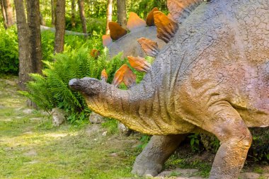 Polonya Baltow 23 Şubat 2024 saat 13: 13 'te Stegosaurs ormandaki ağaçların arasındaki eğrelti otlarının arasında. Sırtında kemikli kalkanları olan sempatik ve tanınmış bir fosil sürüngen. Jura Park paleontolojik cazibe parkı dinozor heykelleri..  